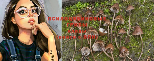 спайс Зеленокумск