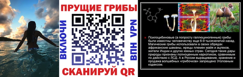 Псилоцибиновые грибы Psilocybine cubensis  Купить  Калач-на-Дону 